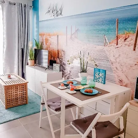 Blue Cocoon Westende 미들케르케